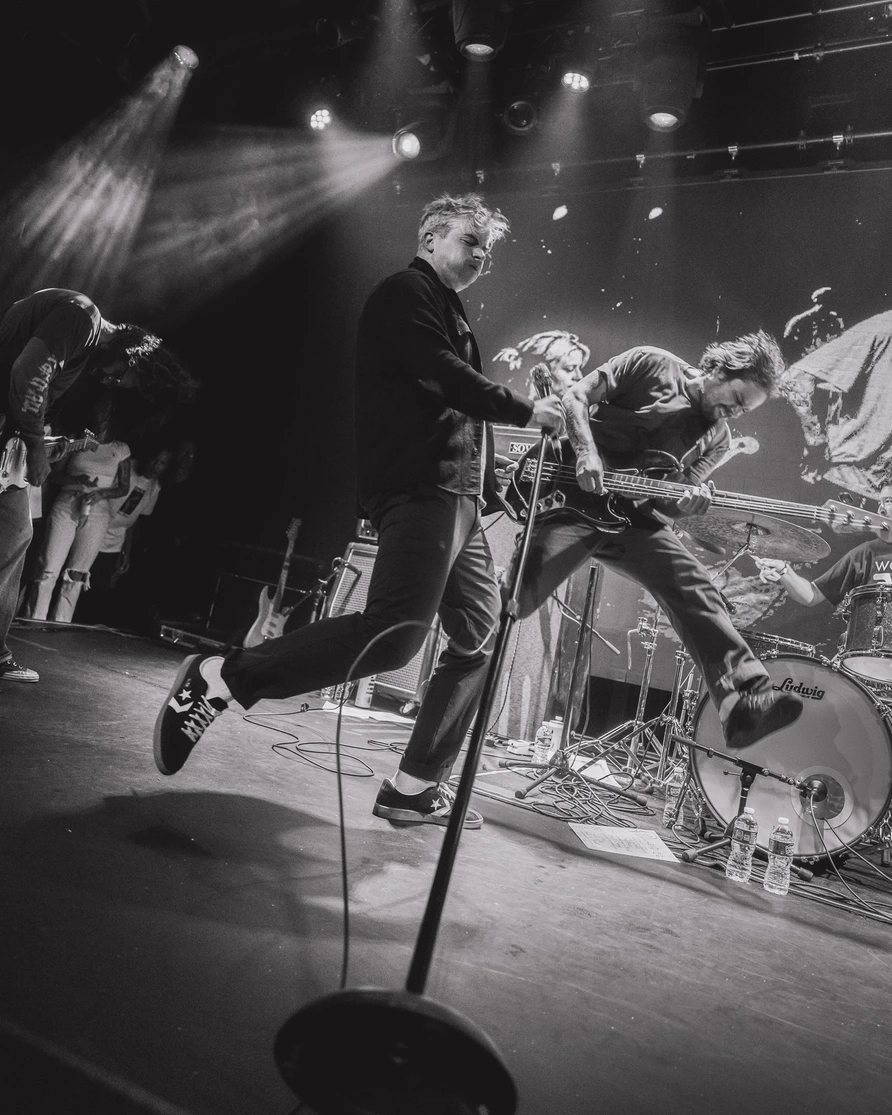 Fiddlehead at Warsaw