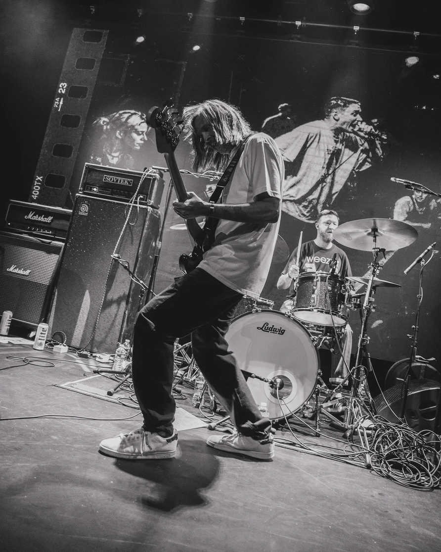Fiddlehead at Warsaw