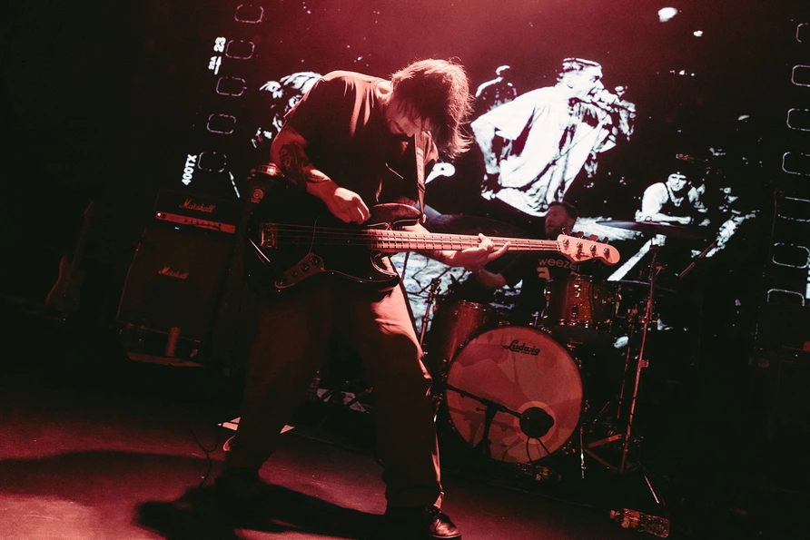 Fiddlehead at Warsaw