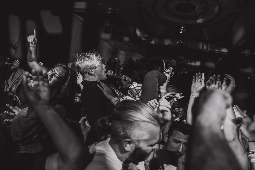 Fiddlehead at Warsaw