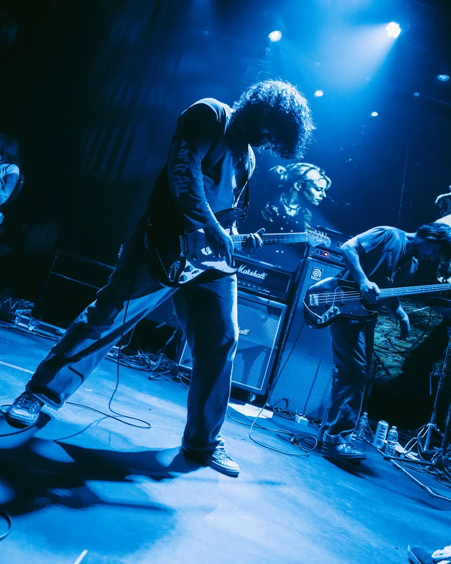 Fiddlehead at Warsaw