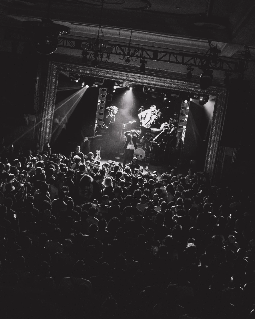 Fiddlehead at Warsaw
