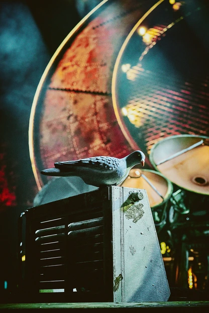 Rush at Madison Square Garden