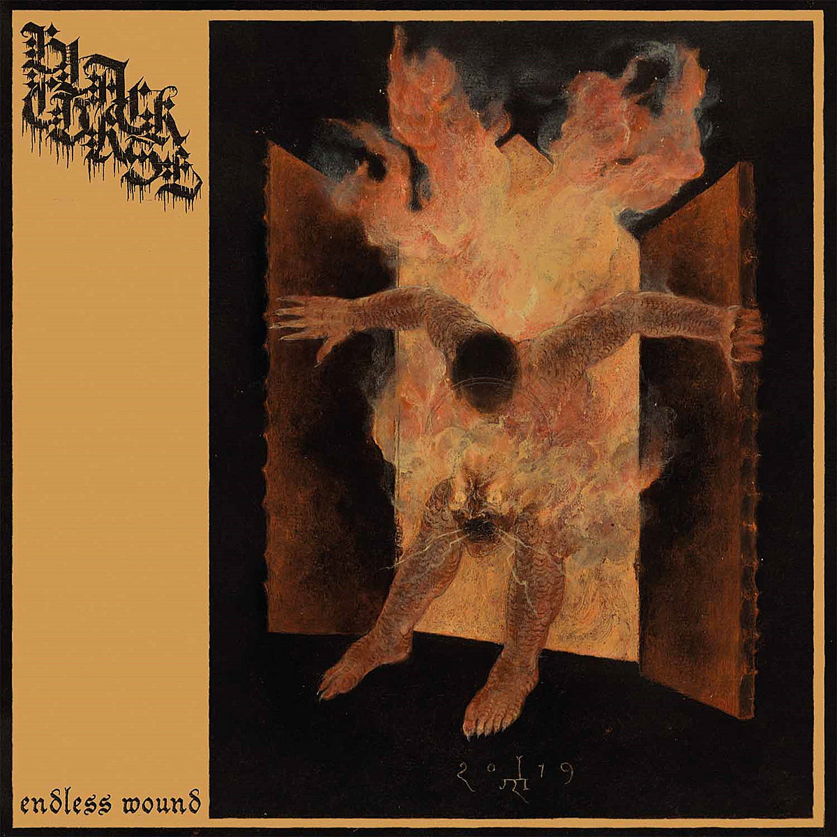 Napalm Death, Converge, etc members reactivate Blood From The Soul