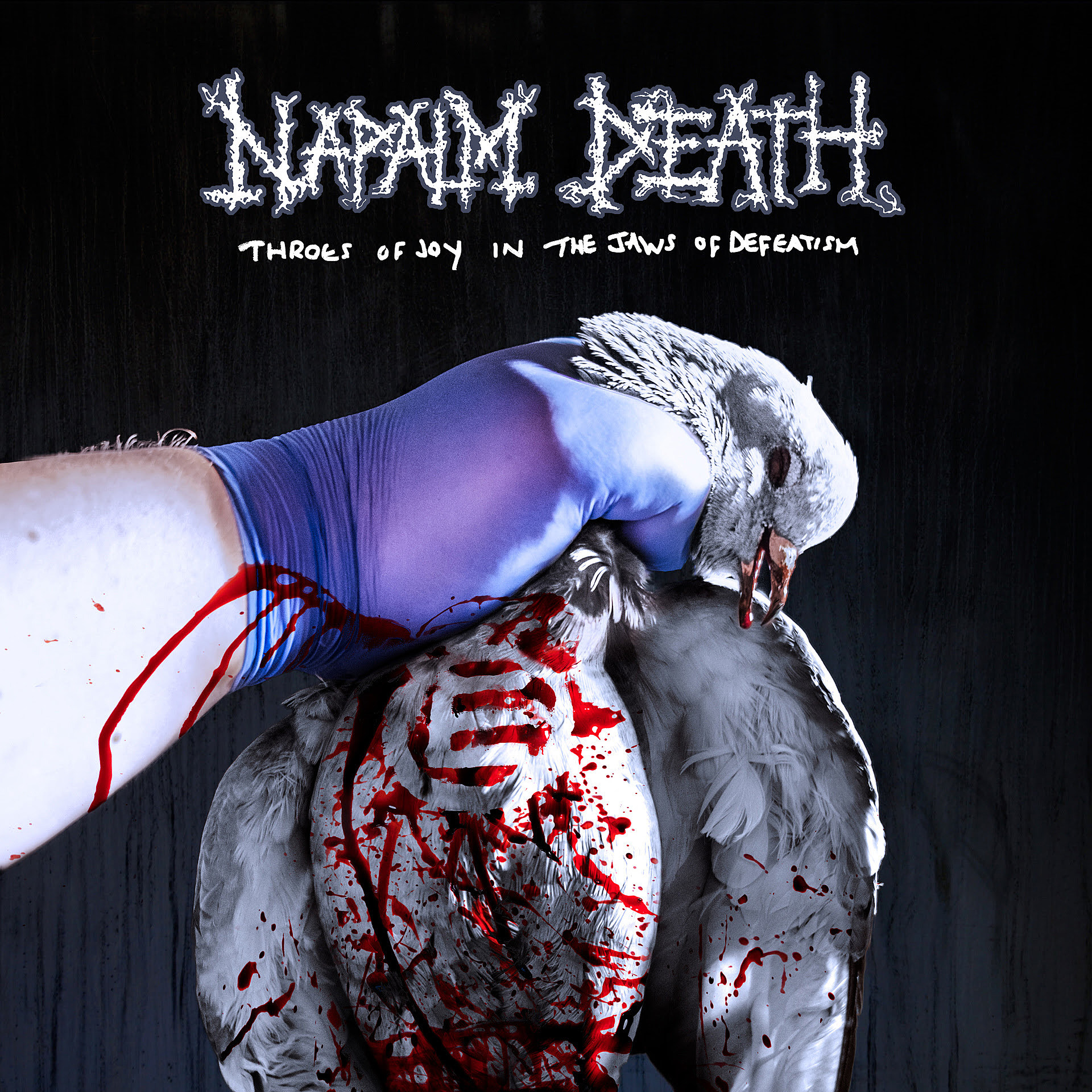 Napalm Death, Converge, etc members reactivate Blood From The Soul