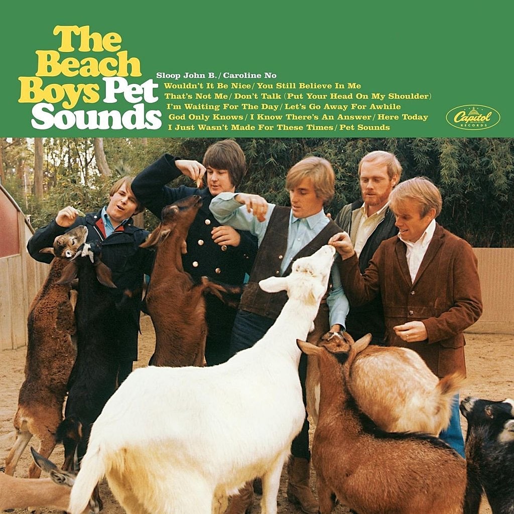 Brian Wilson: Long Promised Road' documentary out in November