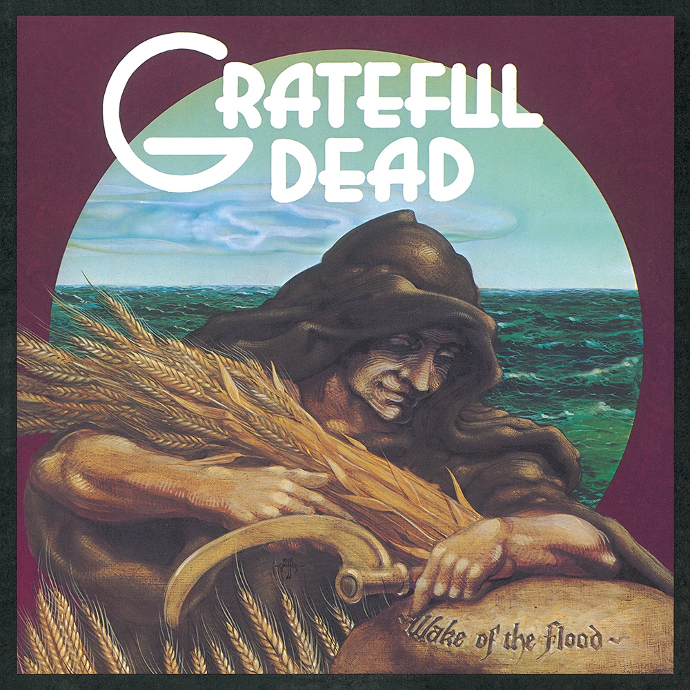 ミュージック a flood of circle Here Is My Freedom DVD a flood of circle / Here Is My Freedom