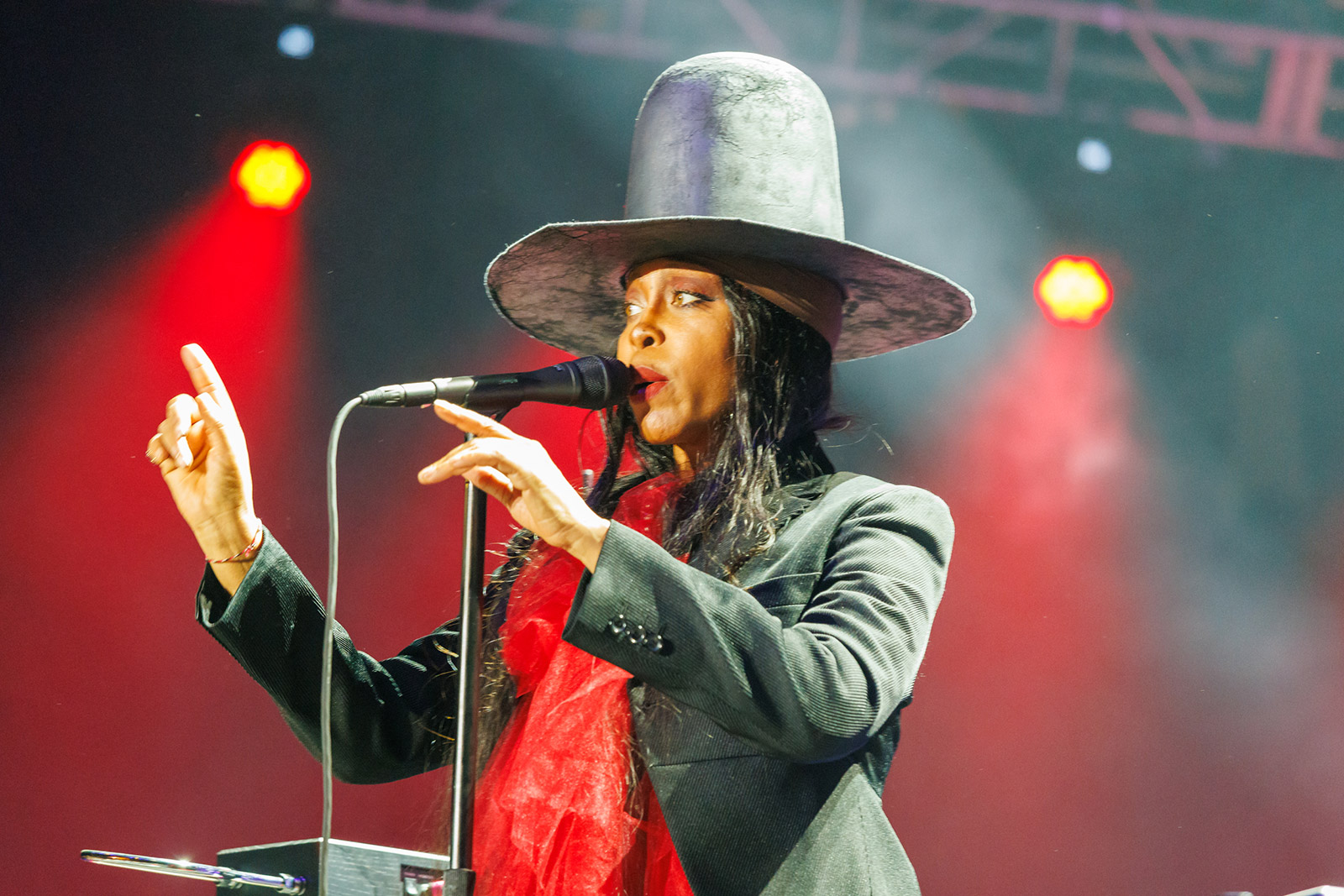 Erykah Badu announces Forest Hills Stadium show