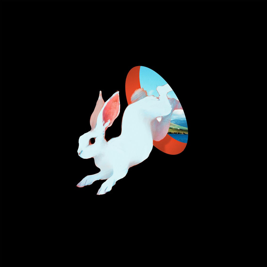 ganser-animal hospital
