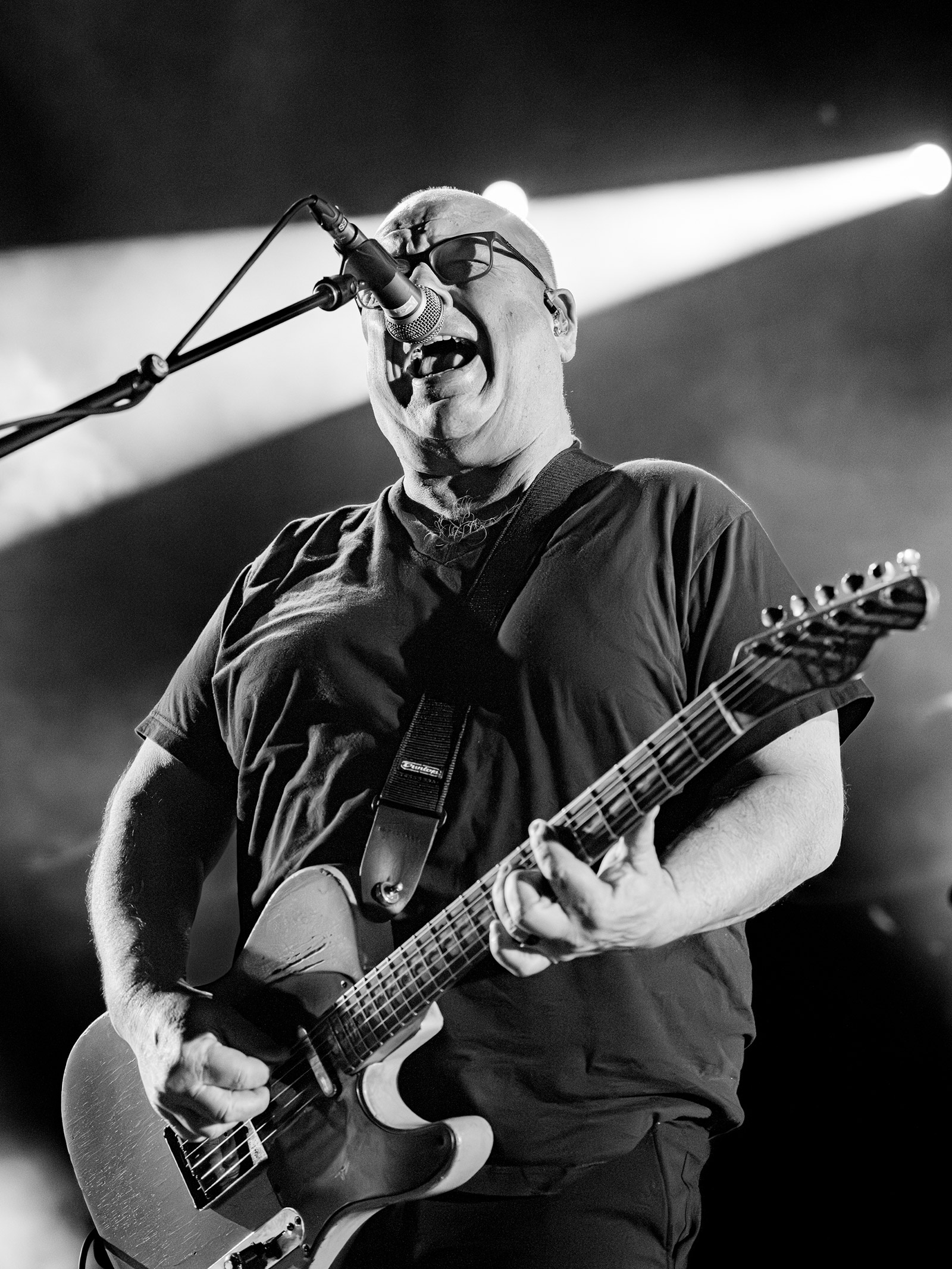 Tour News: Pixies, Coheed & Cambria, Hatebreed, New Pornographers, Wavves, Altin Gün, Jungle, Shilpa Ray, more