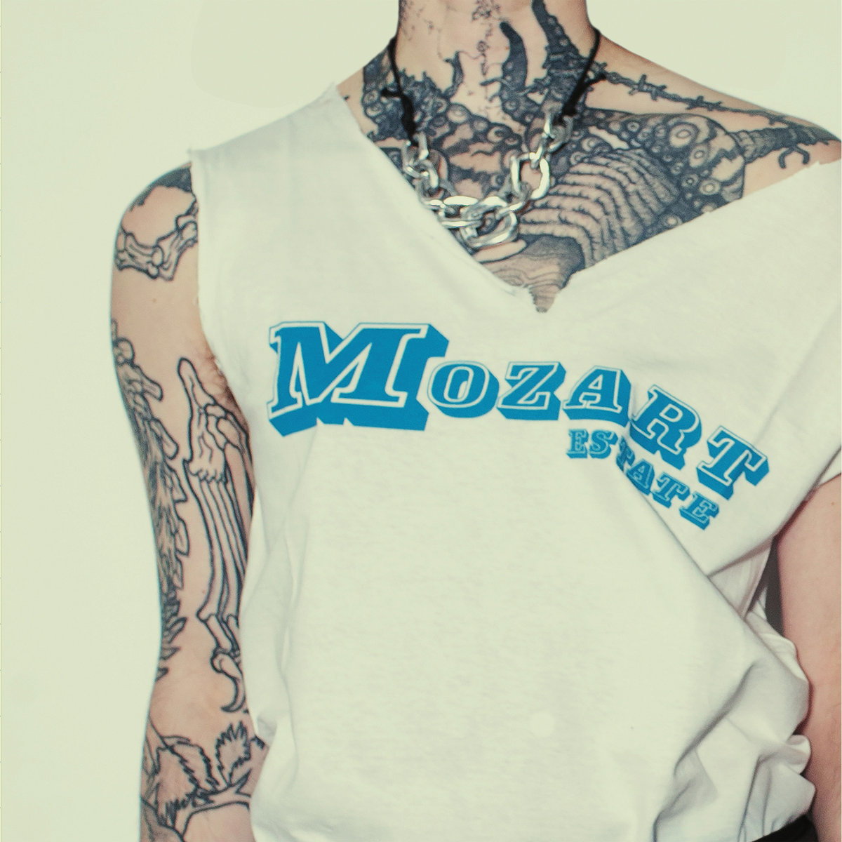 mozart estate - tower block in a jam jar