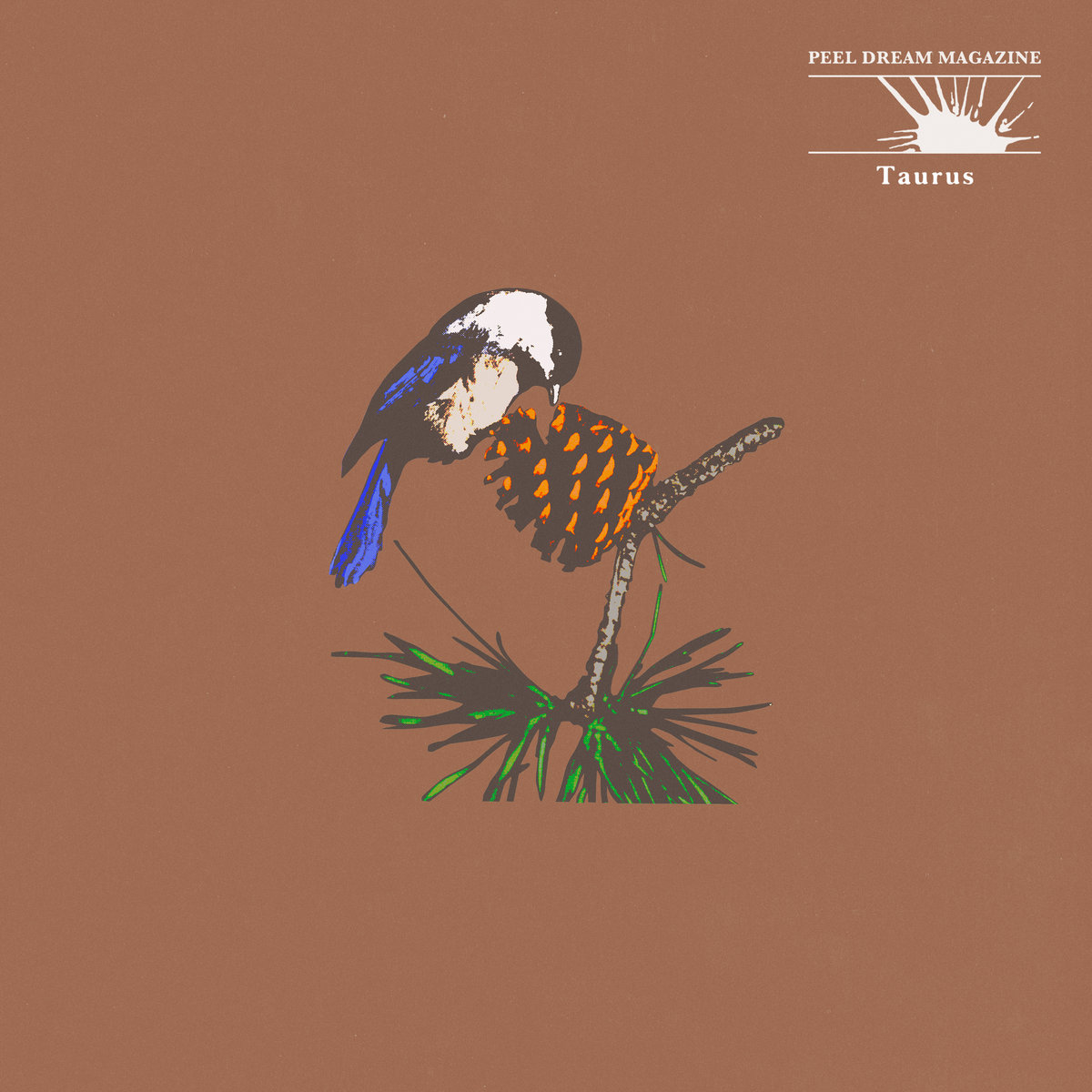 peel dream magazine - taurus