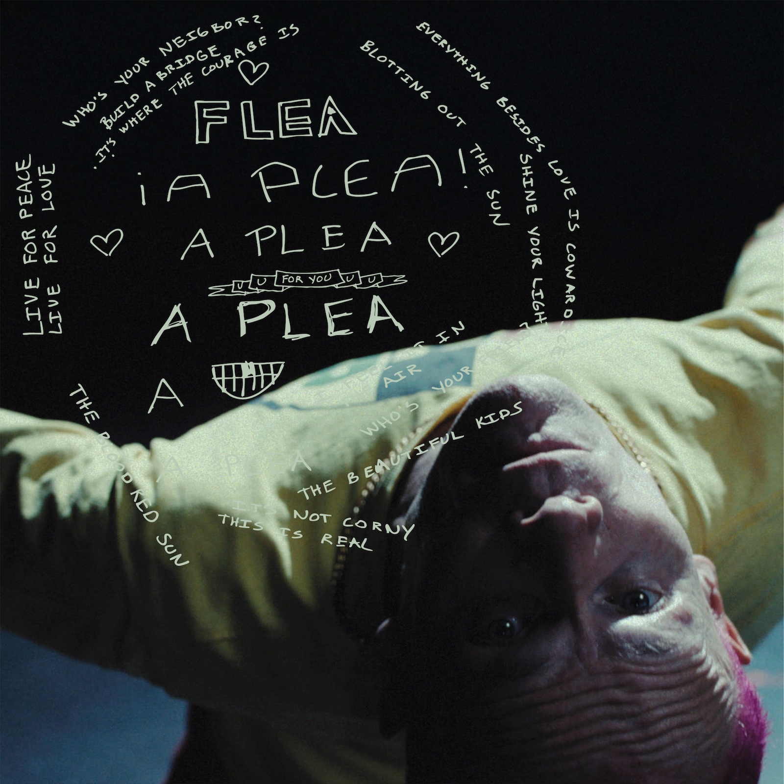 Flea - A Plea - Single Artwork