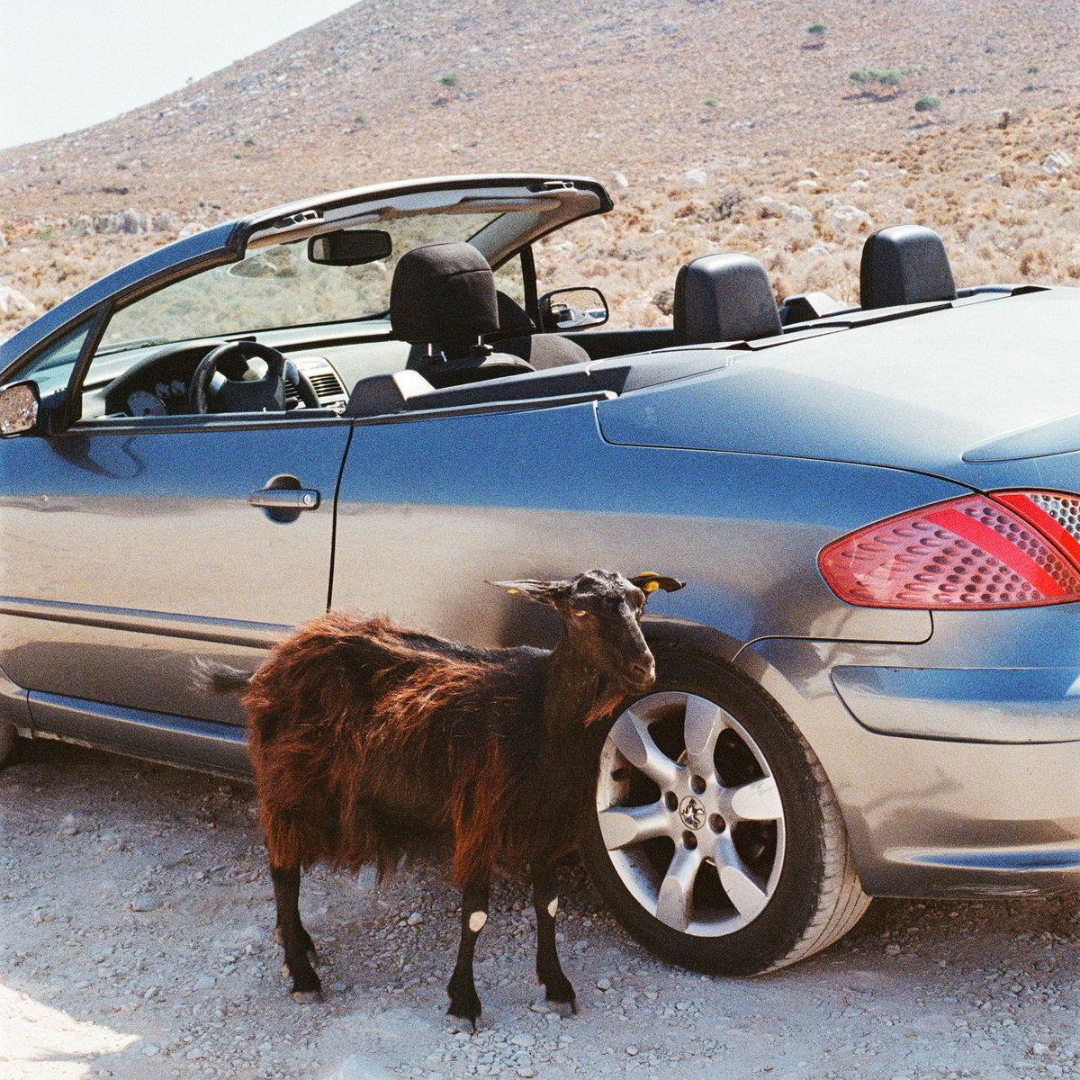 exek prove the mountains wrong