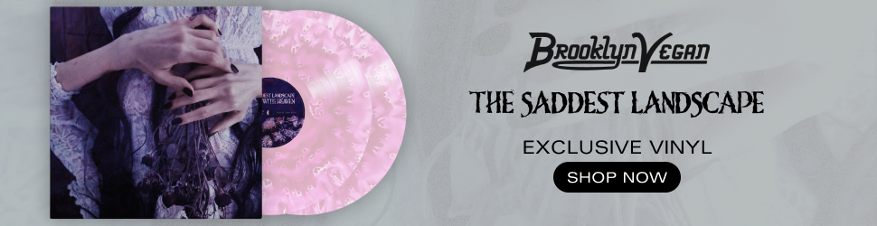 The Saddest Landscape exclusive vinyl