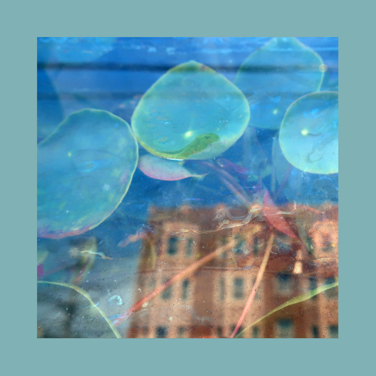 reds pinks purples - acknowledge kindness