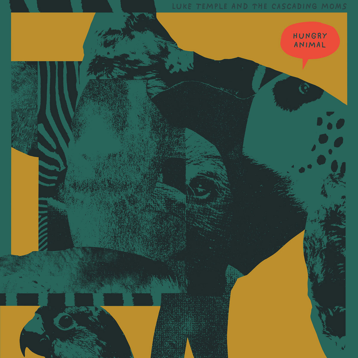 luke temple hungry animal