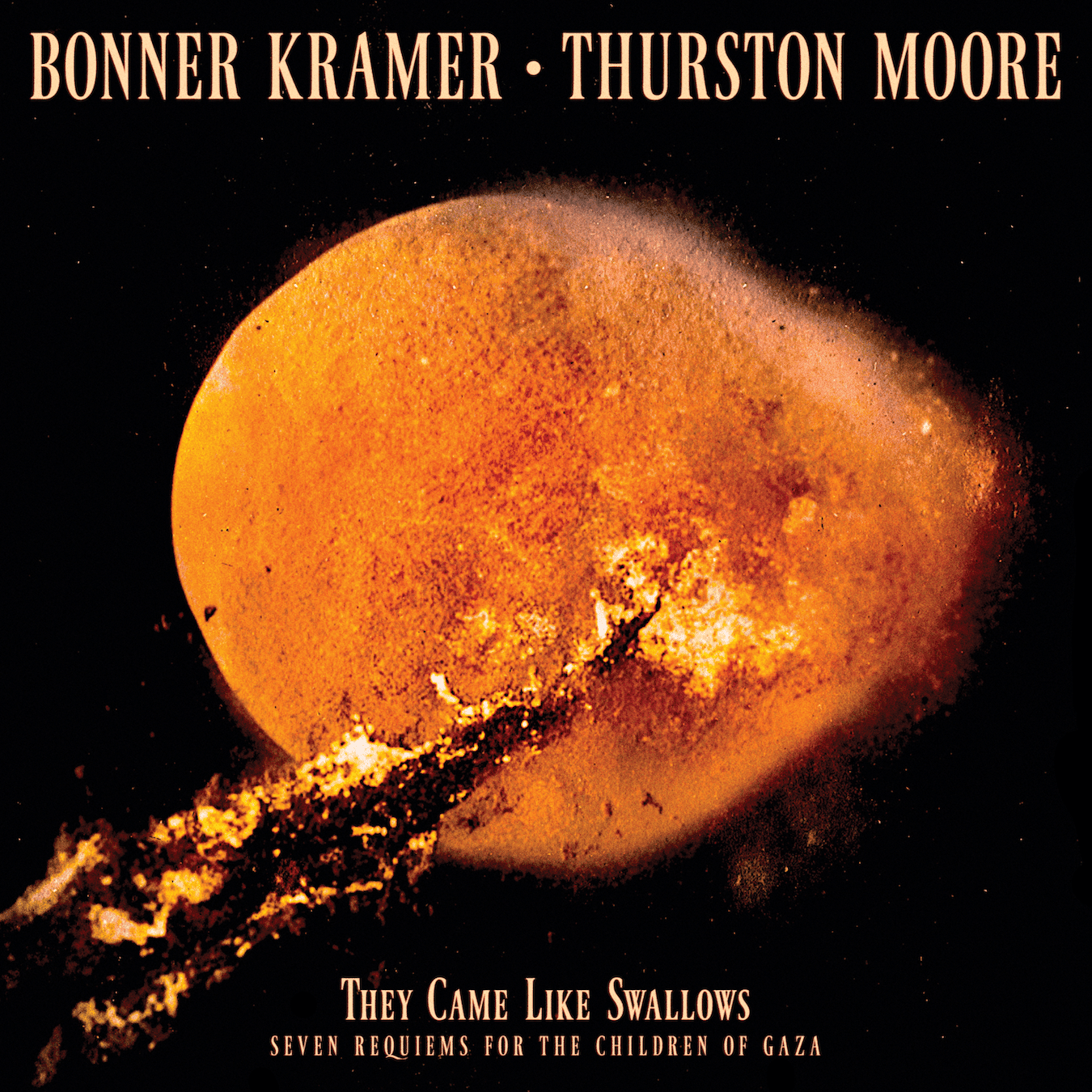 bonner kramer thurston moore they came like swallows