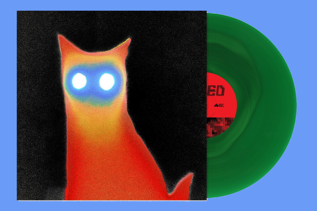 Basement Wired Vinyl