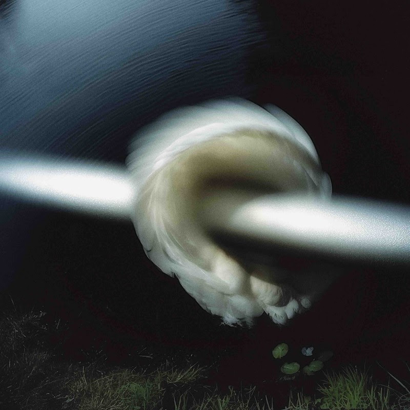 14 New Songs Out Today