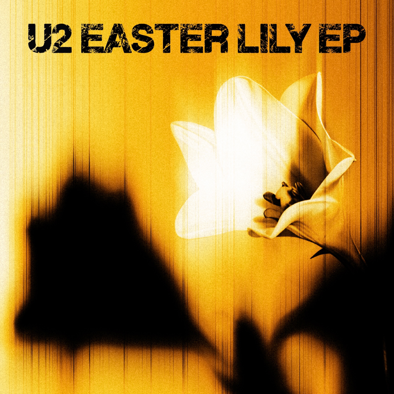 U2 surprise release ‘Easter Lily’ EP ft Brian Eno
