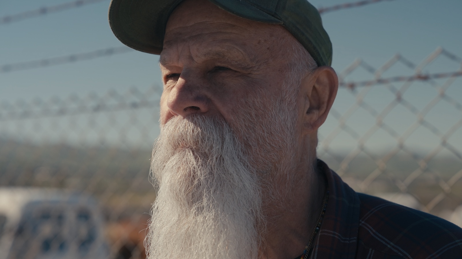 Seasick Steve to Release New Album ‘The Last Season of America,’ Drops Title Track