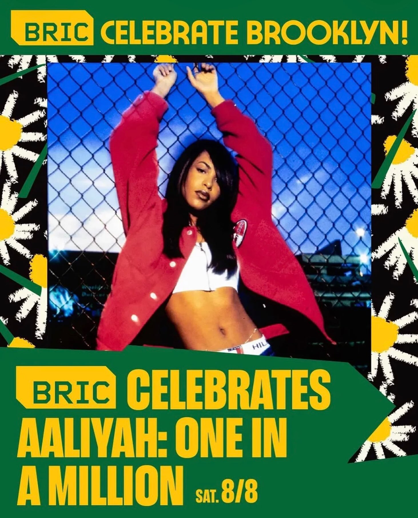 aaliyah celebrate brooklyn tribute